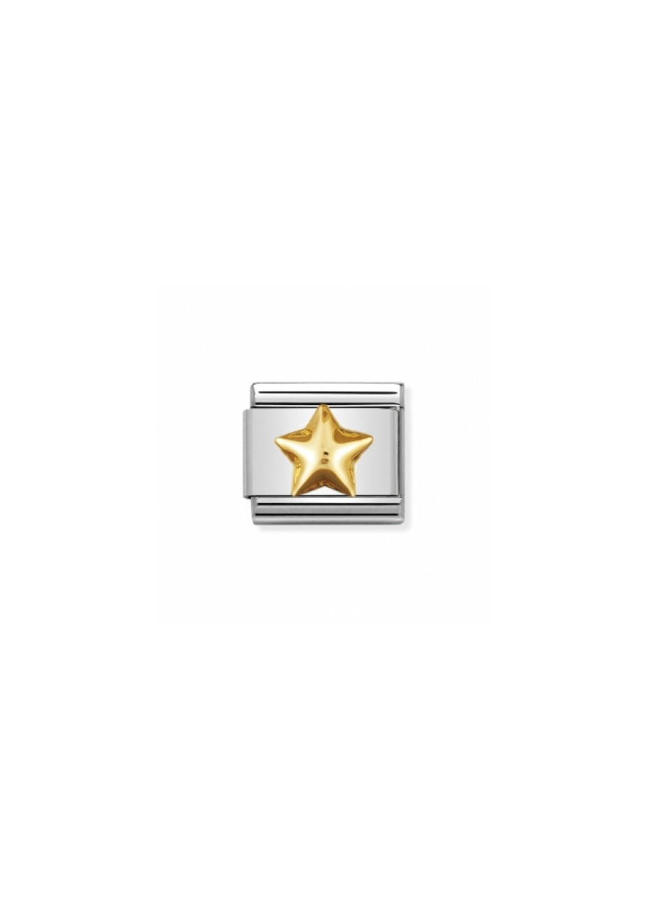 03011012 Ster Dik Nomination schakel staal met goud
