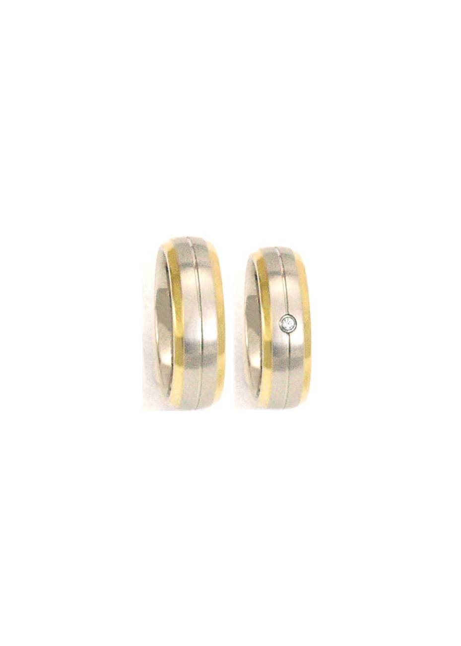 Bicolour Zirconia 60151 FL Paris stalen relatieringen