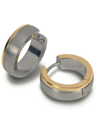 0539-12 Boccia Bicolour zuiver titanium oorringen