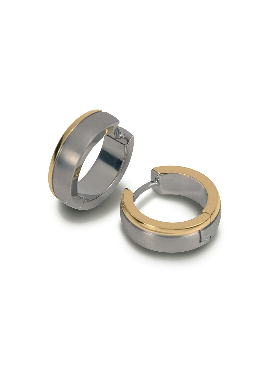 0539-12 Boccia Bicolour zuiver titanium oorringen