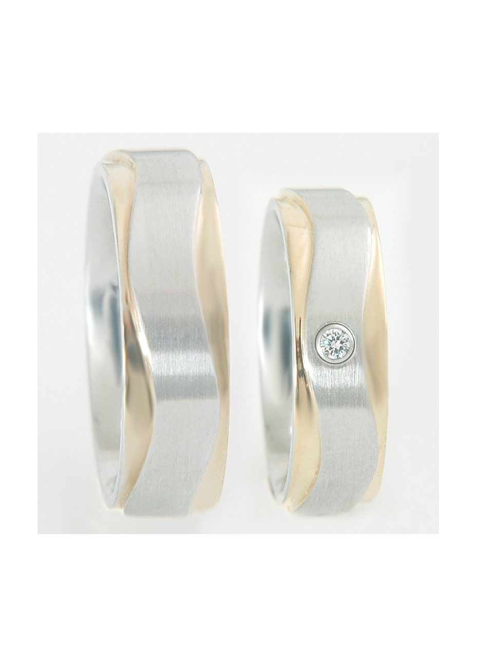 Bicolour Zirconia 60155 FL Paris stalen relatieringen