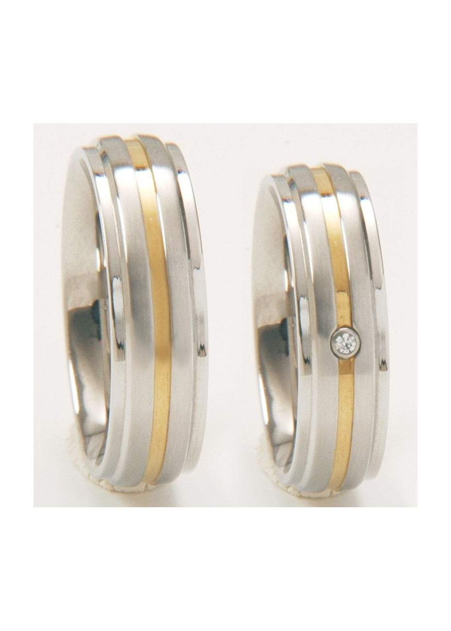 Bicolour Zirconia 60175 FL Paris stalen relatieringen