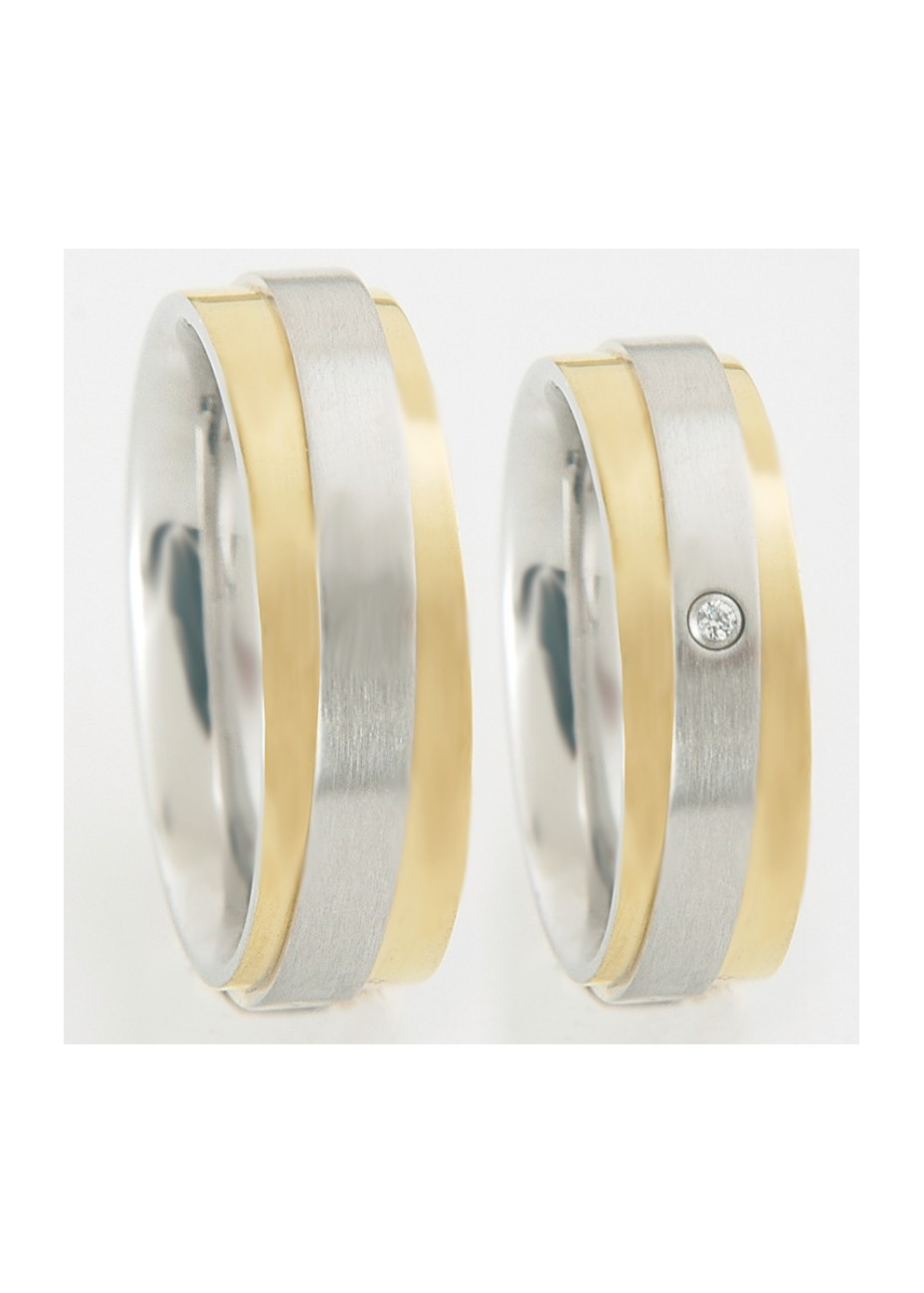 Bicolour Zirconia 60153 FL Paris stalen relatieringen