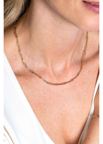 ZGC298 Paperclip collier goud 45 cm Zinzi