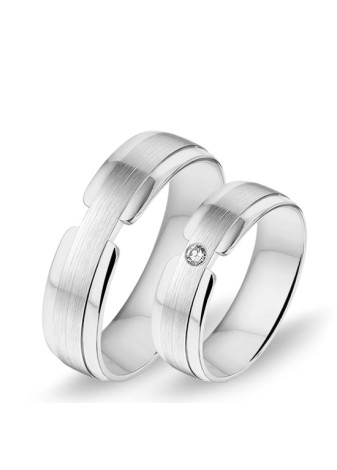 2830 Alliance bicolour trouwringen 0.04 crt. 6 mm