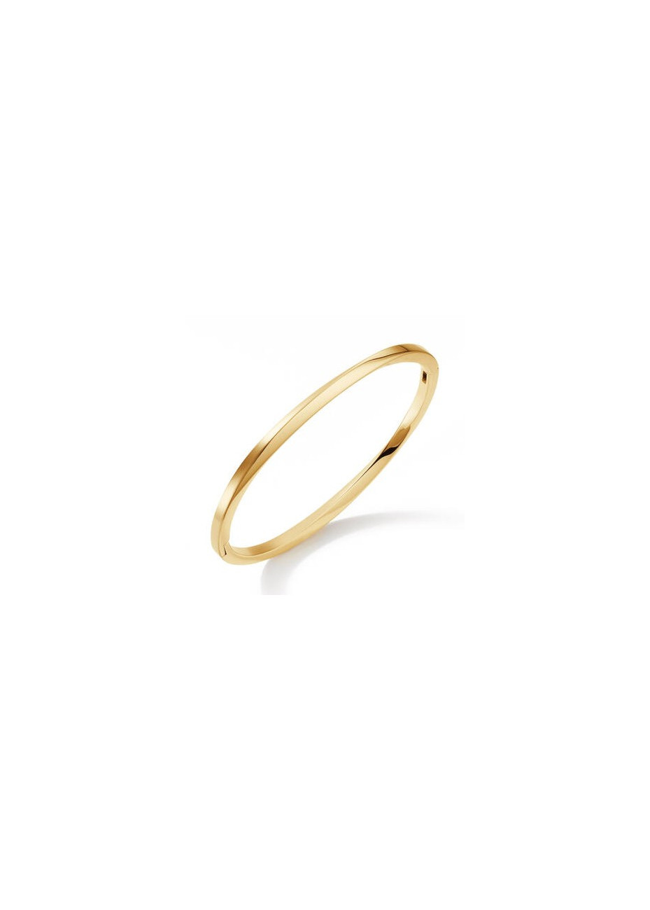 03011-03 Verguld titanium bangle Boccia 60x4 mm