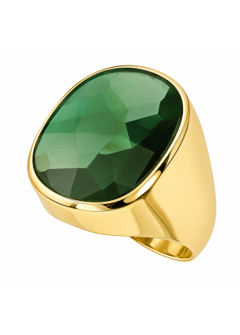 .7.0 gram klassieke gouden herenring met tourmalijn mt 20.5